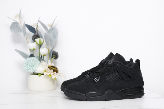 AIR JORDAN 4 X BLACK CAT (2025)