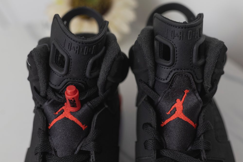 AIR JORDAN 6 X REVERSE INFRARED